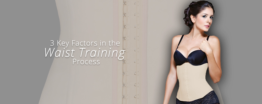 Key factors for waist training results